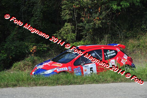 DSC_1387.JPG